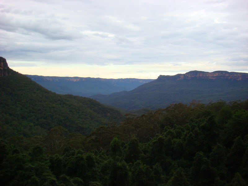 2008.6 雪梨 ~ 一個人的6日旅行 - 第10張圖 DSC01780.JPG - 2008.6 雪梨 6日遊