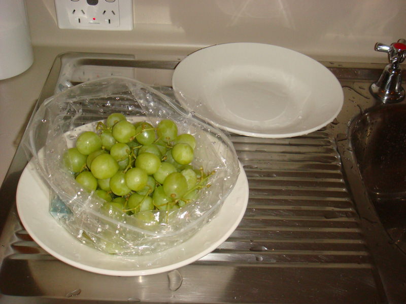 2008.6 雪梨 ~ 一個人的6日旅行 - 第32張圖 DSC01831.JPG - 2008.6 雪梨 6日遊