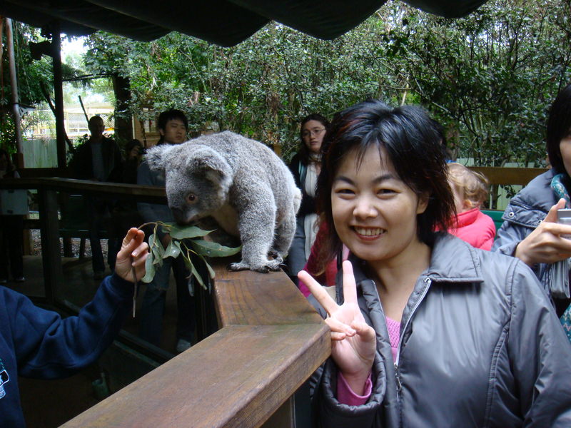 2008.6 雪梨 ~ 一個人的6日旅行 - 第35張圖 DSC01840.JPG - 2008.6 雪梨 6日遊