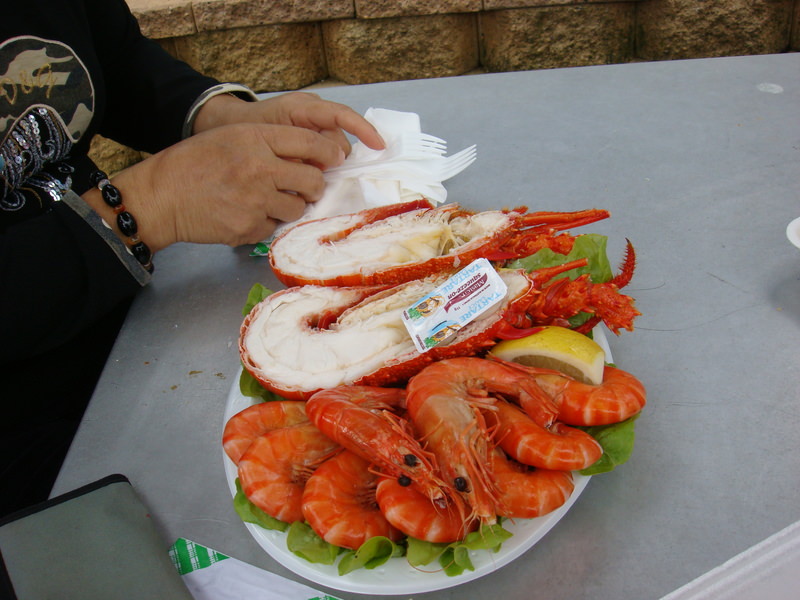 2008.6 雪梨 ~ 一個人的6日旅行 - 第186張圖 DSC02119.JPG - 2008.6 雪梨 6日遊