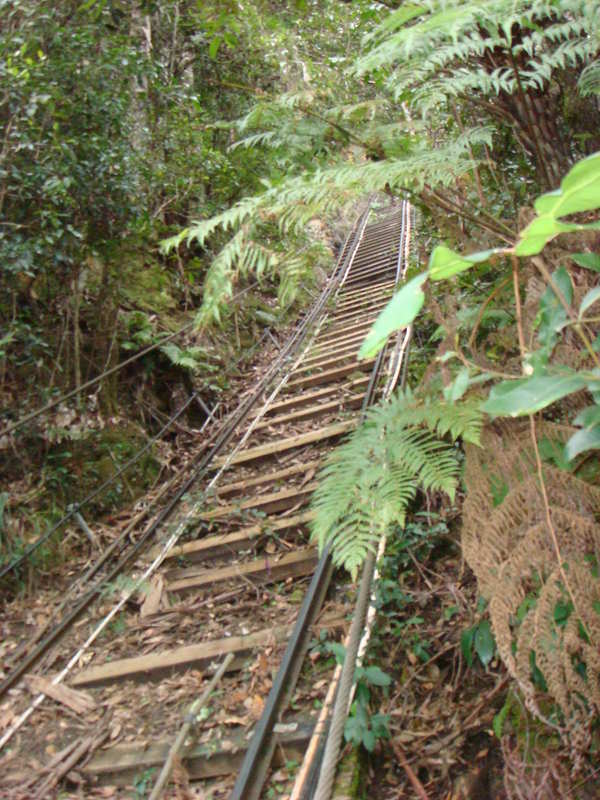 2008.6 雪梨 ~ 一個人的6日旅行 - 第3張圖 DSC01779.JPG - 2008.6 雪梨 6日遊