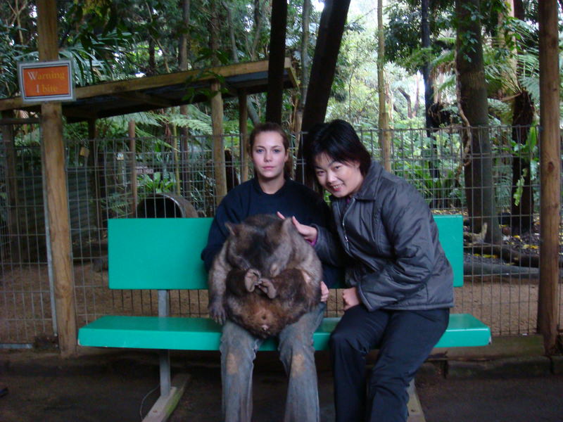 2008.6 雪梨 ~ 一個人的6日旅行 - 第39張圖 DSC01848.JPG - 2008.6 雪梨 6日遊