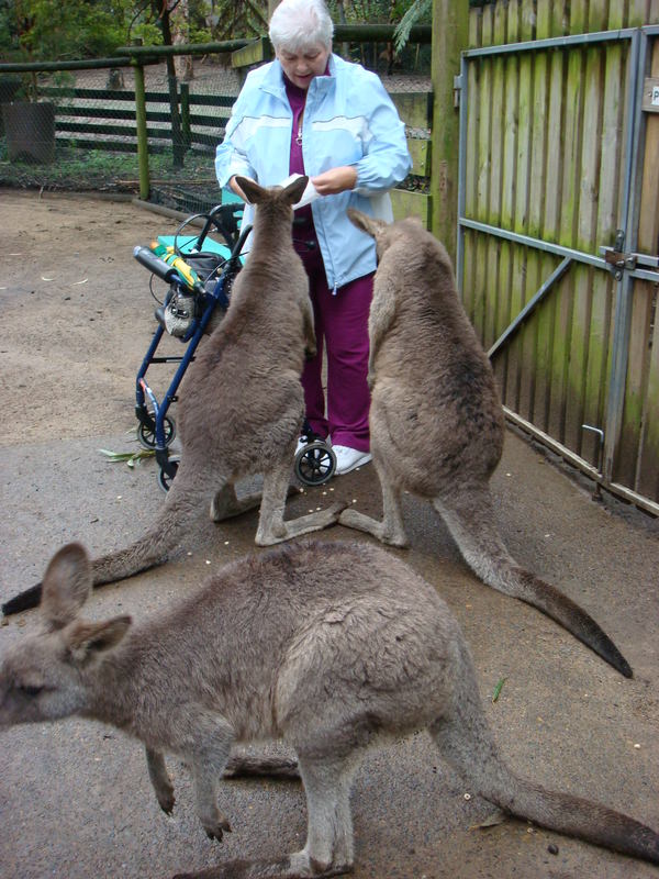 2008.6 雪梨 ~ 一個人的6日旅行 - 第54張圖 DSC01882.JPG - 2008.6 雪梨 6日遊