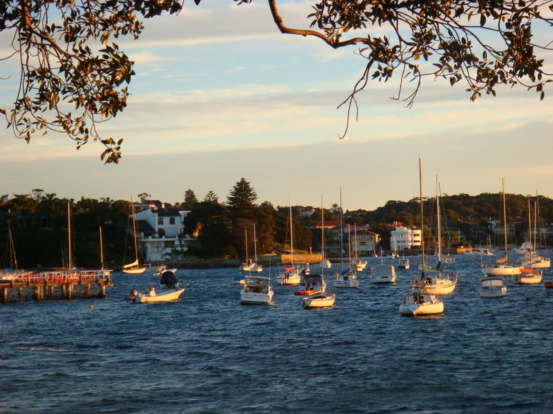 2008.6 雪梨 ~ 一個人的6日旅行 - 第148張圖 DSC02042.JPG - 2008.6 雪梨 6日遊