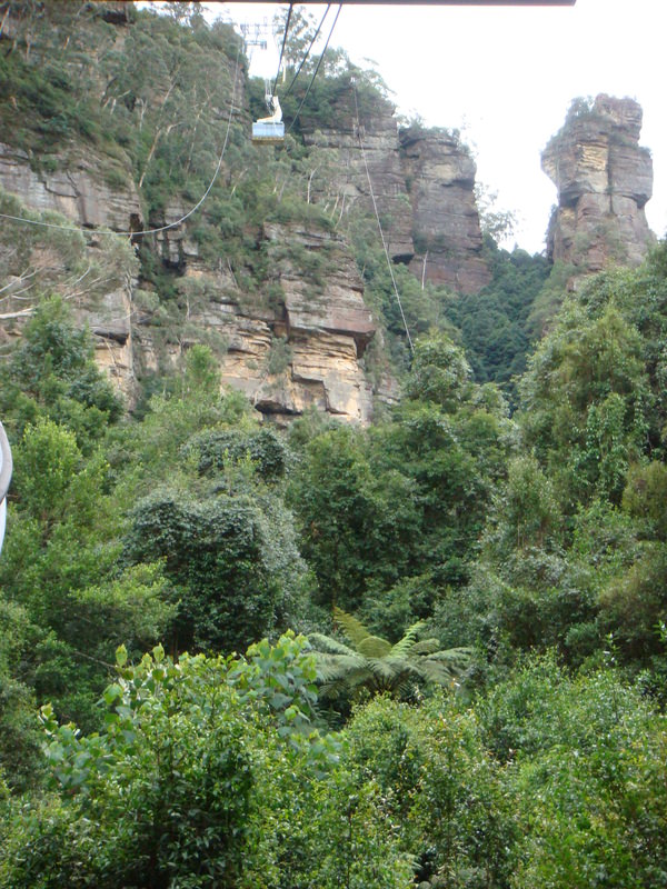 2008.6 雪梨 ~ 一個人的6日旅行 - 第11張圖 DSC01789.JPG - 2008.6 雪梨 6日遊