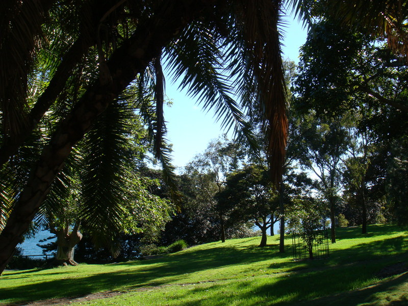 2008.6 雪梨 ~ 一個人的6日旅行 - 第89張圖 DSC01952.JPG - 2008.6 雪梨 6日遊