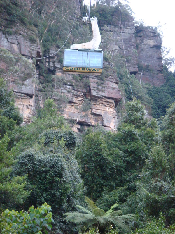 2008.6 雪梨 ~ 一個人的6日旅行 - 第12張圖 DSC01790.JPG - 2008.6 雪梨 6日遊