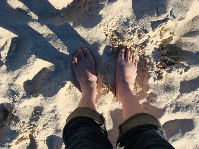 2008.6 雪梨 ~ 一個人的6日旅行 - 第126張圖 DSC02012.JPG - 2008.6 雪梨 6日遊