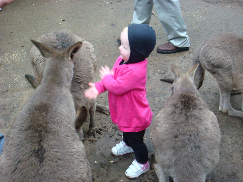 2008.6 雪梨 ~ 一個人的6日旅行 - 第57張圖 DSC01887.JPG - 2008.6 雪梨 6日遊