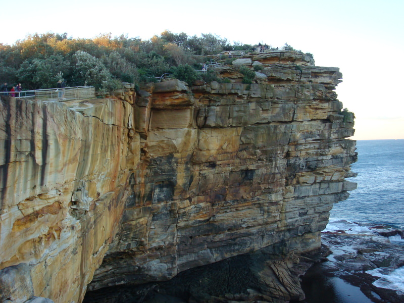 2008.6 雪梨 ~ 一個人的6日旅行 - 第143張圖 DSC02039.JPG - 2008.6 雪梨 6日遊