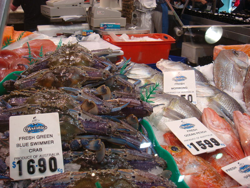 2008.6 雪梨 ~ 一個人的6日旅行 - 第183張圖 DSC02115.JPG - 2008.6 雪梨 6日遊