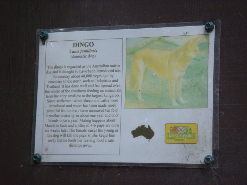 2008.6 雪梨 ~ 一個人的6日旅行 - 第50張圖 DSC01869.JPG - 2008.6 雪梨 6日遊