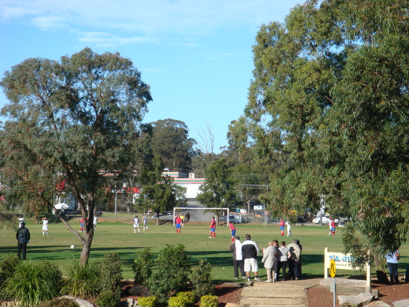 2008.6 雪梨 ~ 一個人的6日旅行 - 第158張圖 DSC02072.JPG - 2008.6 雪梨 6日遊