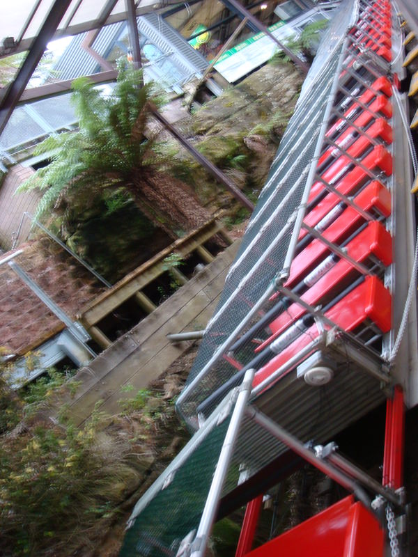 2008.6 雪梨 ~ 一個人的6日旅行 - 第4張圖 DSC01764.JPG - 2008.6 雪梨 6日遊