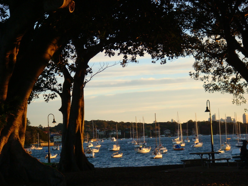 2008.6 雪梨 ~ 一個人的6日旅行 - 第147張圖 DSC02041.JPG - 2008.6 雪梨 6日遊