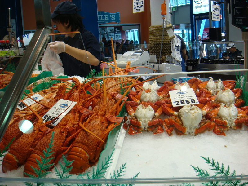 2008.6 雪梨 ~ 一個人的6日旅行 - 第182張圖 DSC02114.JPG - 2008.6 雪梨 6日遊