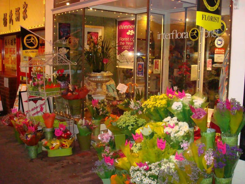 2008.6 雪梨 ~ 一個人的6日旅行 - 第26張圖 DSC01824.JPG - 2008.6 雪梨 6日遊