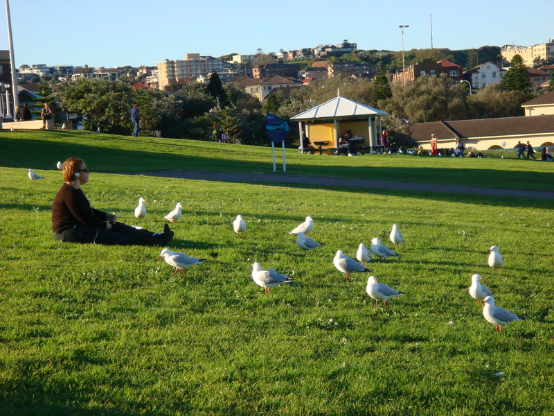 2008.6 雪梨 ~ 一個人的6日旅行 - 第138張圖 DSC02026.JPG - 2008.6 雪梨 6日遊