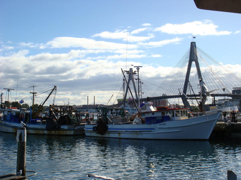 2008.6 雪梨 ~ 一個人的6日旅行 - 第179張圖 DSC02122.JPG - 2008.6 雪梨 6日遊