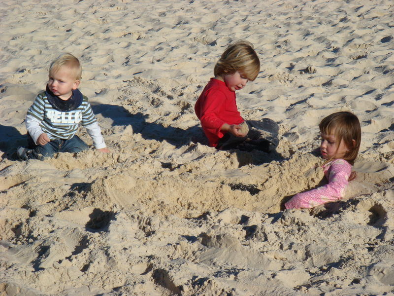 2008.6 雪梨 ~ 一個人的6日旅行 - 第125張圖 DSC02011.JPG - 2008.6 雪梨 6日遊