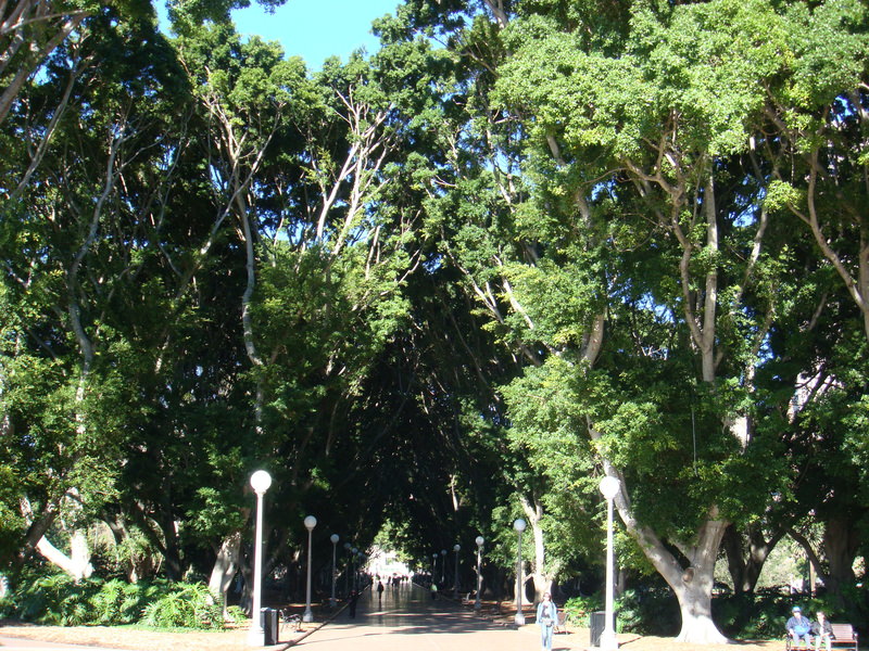 2008.6 雪梨 ~ 一個人的6日旅行 - 第159張圖 DSC02077.JPG - 2008.6 雪梨 6日遊