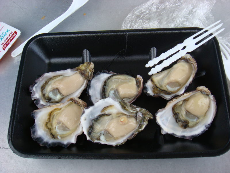 2008.6 雪梨 ~ 一個人的6日旅行 - 第187張圖 DSC02120.JPG - 2008.6 雪梨 6日遊