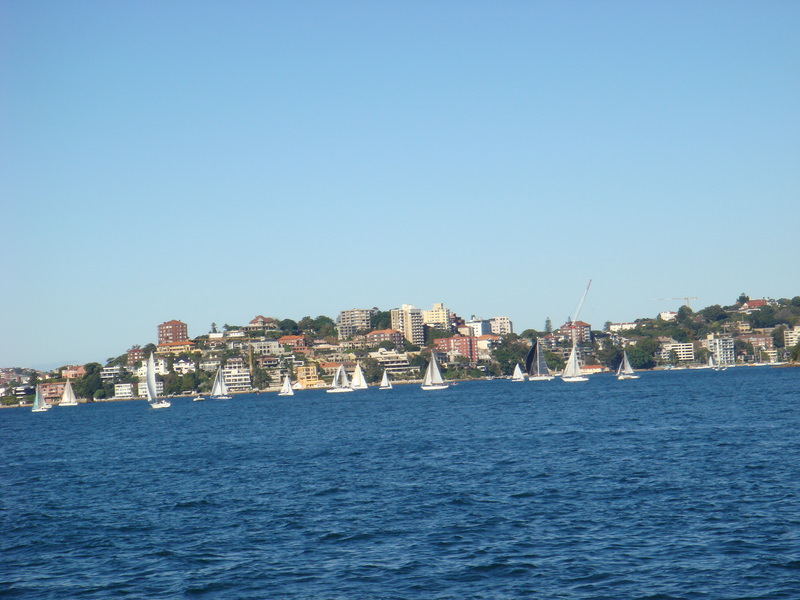 2008.6 雪梨 ~ 一個人的6日旅行 - 第114張圖 DSC01987.JPG - 2008.6 雪梨 6日遊