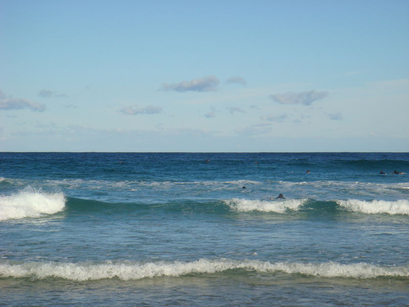 2008.6 雪梨 ~ 一個人的6日旅行 - 第133張圖 DSC02016.JPG - 2008.6 雪梨 6日遊