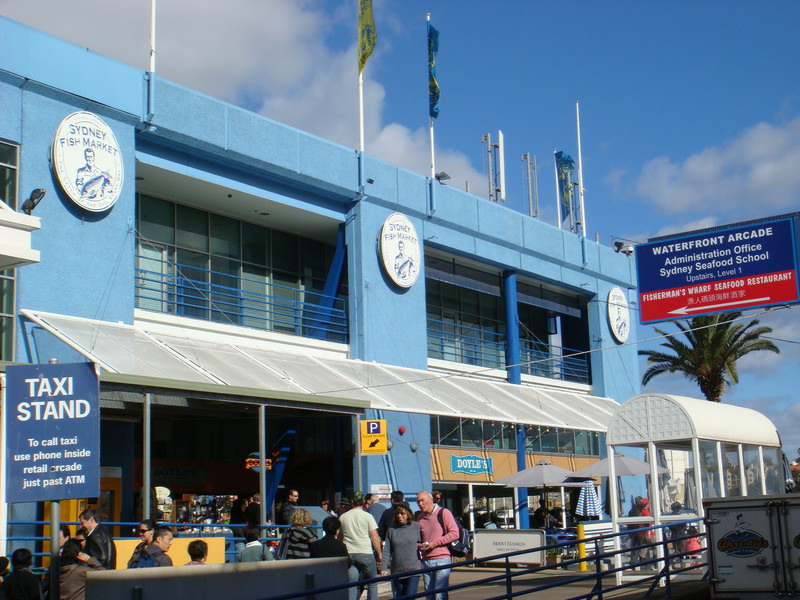 2008.6 雪梨 ~ 一個人的6日旅行 - 第181張圖 DSC02113.JPG - 2008.6 雪梨 6日遊