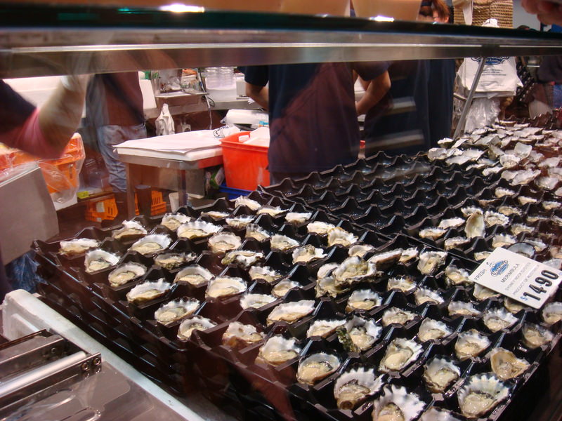 2008.6 雪梨 ~ 一個人的6日旅行 - 第184張圖 DSC02116.JPG - 2008.6 雪梨 6日遊