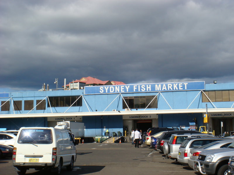 2008.6 雪梨 ~ 一個人的6日旅行 - 第180張圖 DSC02112.JPG - 2008.6 雪梨 6日遊