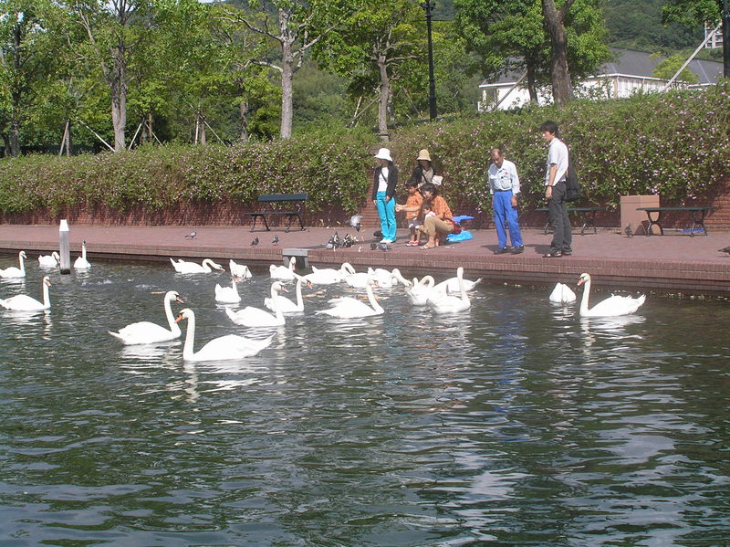 2004.9 九州豪斯登堡、阿蘇火山5日遊 - 第46張圖 P9160332.jpg - 2004.9 九州豪斯登堡、阿蘇火山5日遊