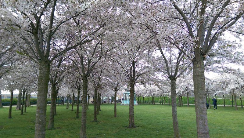 2016.4 北歐三國丹麥、挪威、瑞典11日遊 3-1 - 第68張圖 IMAG3485.jpg - 2016.4 北歐三國丹麥、挪威、瑞典11日遊