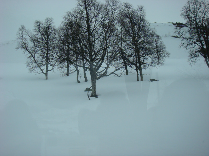 2016.4 北歐三國丹麥、挪威、瑞典11日遊 3-2 - 第98張圖 DSC06574.JPG - 2016.4 北歐三國丹麥、挪威、瑞典11日遊