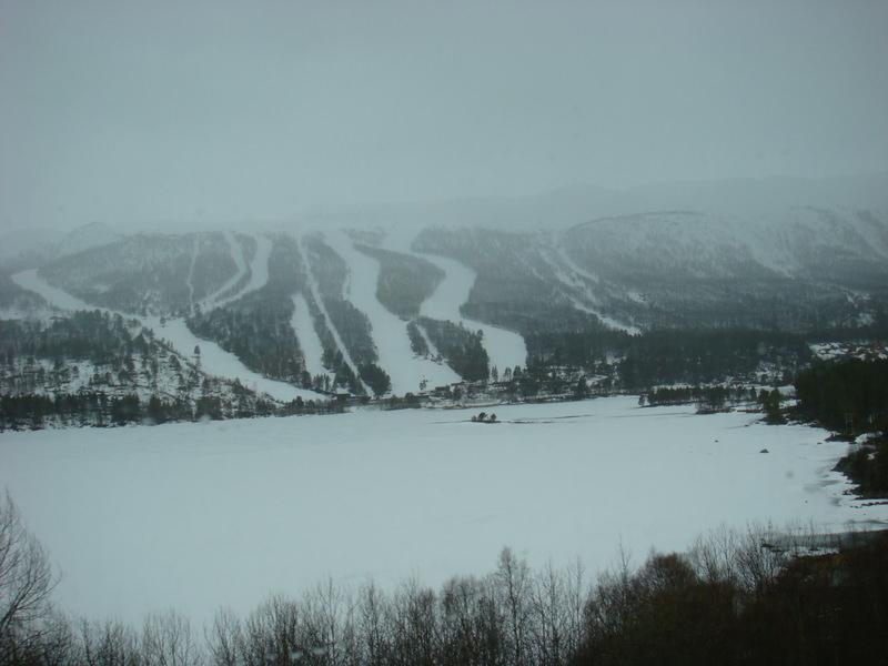 2016.4 北歐三國丹麥、挪威、瑞典11日遊 3-2 - 第99張圖 DSC06586.JPG - 2016.4 北歐三國丹麥、挪威、瑞典11日遊