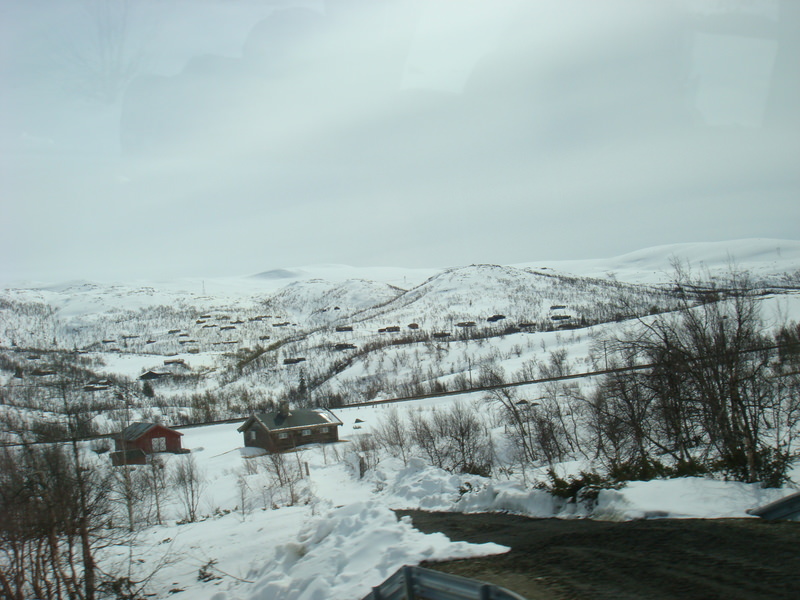 2016.4 北歐三國丹麥、挪威、瑞典11日遊 3-2 - 第6張圖 DSC06437.JPG - 2016.4 北歐三國丹麥、挪威、瑞典11日遊