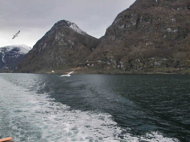 2016.4 北歐三國丹麥、挪威、瑞典11日遊 3-2 - 第143張圖 IMG_0319.JPG - 2016.4 北歐三國丹麥、挪威、瑞典11日遊