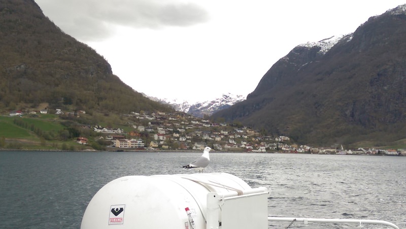 2016.4 北歐三國丹麥、挪威、瑞典11日遊 3-2 - 第152張圖 IMAG4098.jpg - 2016.4 北歐三國丹麥、挪威、瑞典11日遊