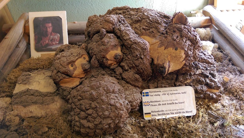 2016.4 北歐三國丹麥、挪威、瑞典11日遊 3-3 - 第25張圖 IMAG4413.jpg - 2016.4 北歐三國丹麥、挪威、瑞典11日遊