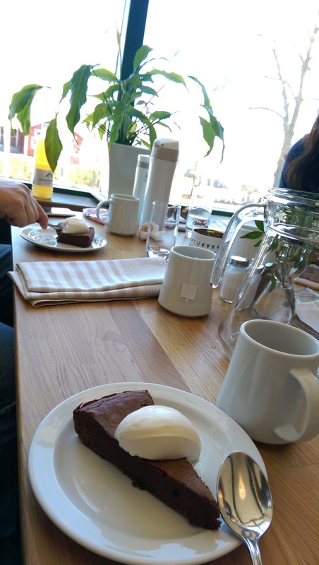 2016.4 北歐三國丹麥、挪威、瑞典11日遊 3-3 - 第20張圖 IMAG4404.jpg - 2016.4 北歐三國丹麥、挪威、瑞典11日遊