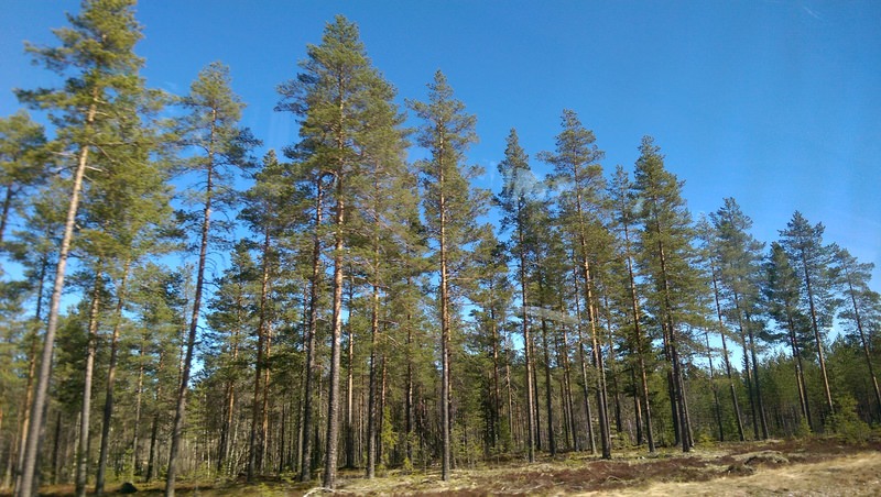 2016.4 北歐三國丹麥、挪威、瑞典11日遊 3-3 - 第13張圖 IMAG4389.jpg - 2016.4 北歐三國丹麥、挪威、瑞典11日遊