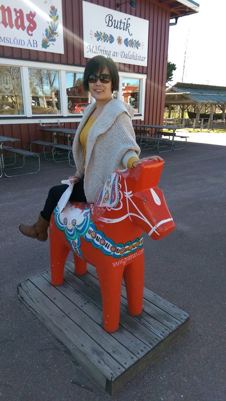 2016.4 北歐三國丹麥、挪威、瑞典11日遊 3-3 - 第31張圖 IMAG4429.jpg - 2016.4 北歐三國丹麥、挪威、瑞典11日遊