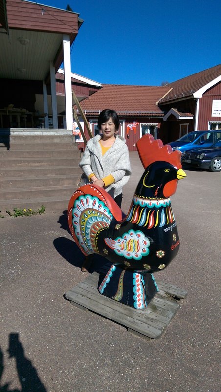 2016.4 北歐三國丹麥、挪威、瑞典11日遊 3-3 - 第23張圖 IMAG4406.jpg - 2016.4 北歐三國丹麥、挪威、瑞典11日遊