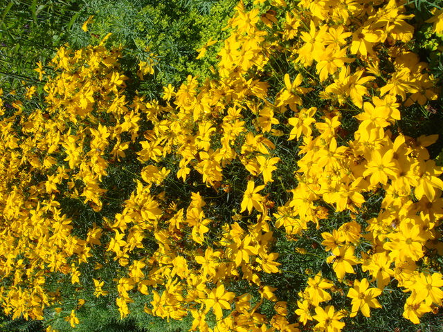 2011.06 德瑞~新天鵝堡.鐵力士山.米其林餐廳 10日遊(上) - 第38張圖 2011.06 德瑞~新天鵝堡.鐵力士山.米其林餐廳 10日遊(上)