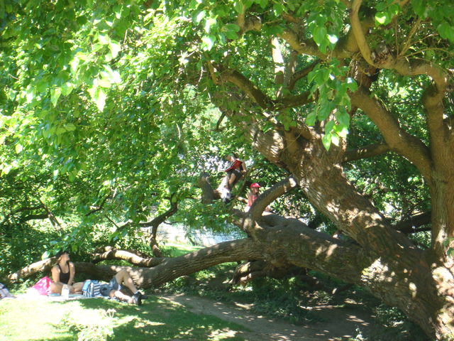 2011.06 德瑞~新天鵝堡.鐵力士山.米其林餐廳 10日遊(上) - 第39張圖 2011.06 德瑞~新天鵝堡.鐵力士山.米其林餐廳 10日遊(上)