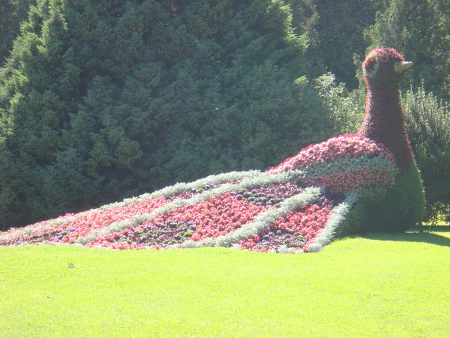 2011.06 德瑞~新天鵝堡.鐵力士山.米其林餐廳 10日遊(上) - 第40張圖 2011.06 德瑞~新天鵝堡.鐵力士山.米其林餐廳 10日遊(上)