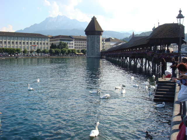 2011.06 德瑞~新天鵝堡.鐵力士山.米其林餐廳 10日遊(上) - 第75張圖 2011.06 德瑞~新天鵝堡.鐵力士山.米其林餐廳 10日遊(上)
