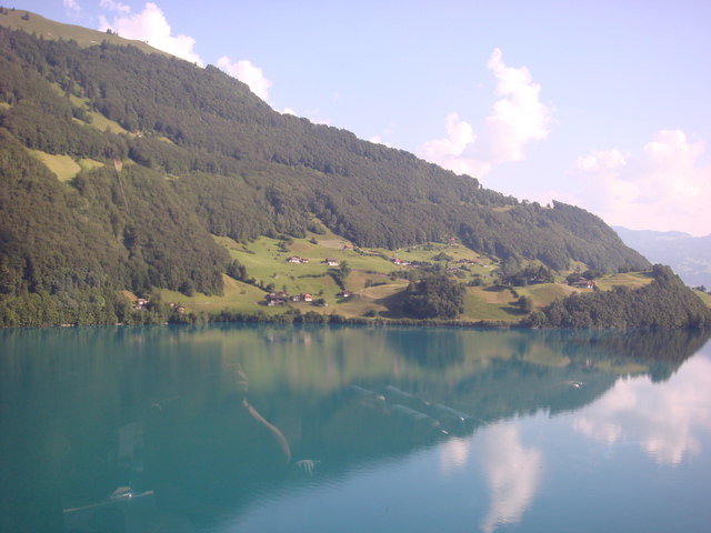 2011.06 德瑞~新天鵝堡.鐵力士山.米其林餐廳 10日遊(上) - 第100張圖 2011.06 德瑞~新天鵝堡.鐵力士山.米其林餐廳 10日遊(上)