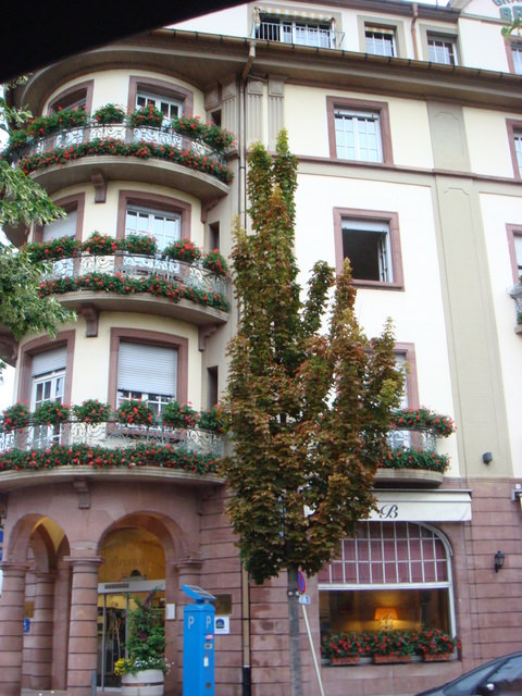 2011.06 德瑞~新天鵝堡.鐵力士山.米其林餐廳 10日遊(下) - 第35張圖 2011.06 德瑞~新天鵝堡.鐵力士山.米其林餐廳 10日遊(下)